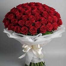 Букет 101 Красная роза Блэк Мэджик #REPLACE_PRED# Краснохолмский