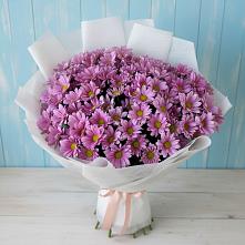Букет цветов из:  Хризантемы в Краснохолмский