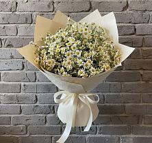 Букет цветов из:  Ромашки #REPLACE_PRED# Краснохолмский